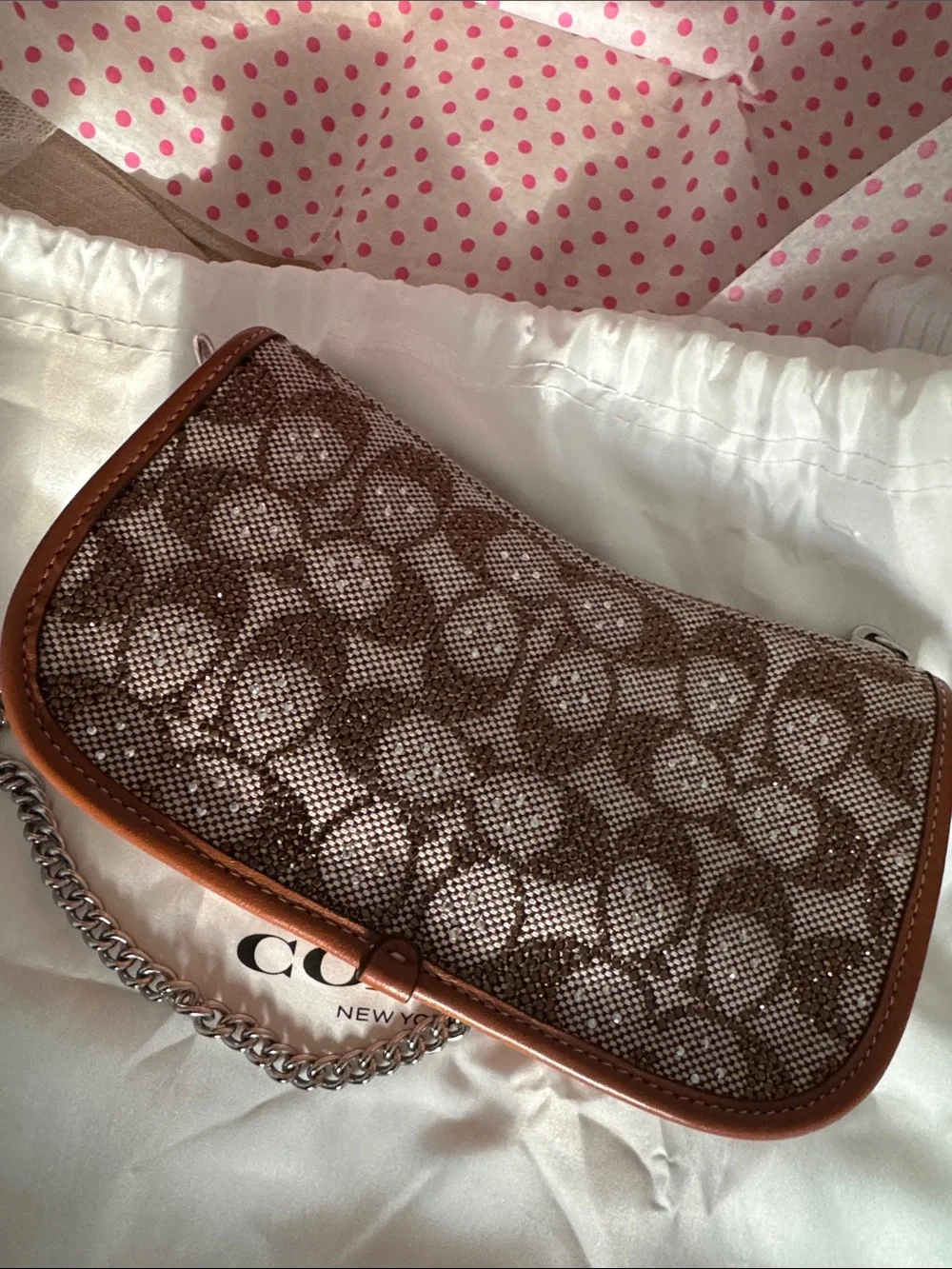 Coach Signature Canvas Crystal Swinger